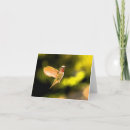 Recherche de anna vœux cartes Colibri