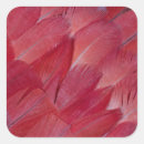 Recherche de perroquet rouge autocollants Faune
