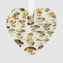 Suche nach mushroom ornamente Vintag