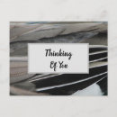 Suche nach vogelfeder postkarten Modern