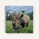 Suche nach nashorn andere Tierfotografie