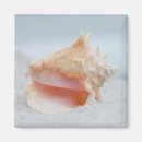 Recherche de coquille de plage magnets Sable