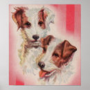 Suche nach jack russell terrier poster Niedliche hunde