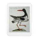 Recherche de gravures magnets École