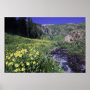 Suche nach wasserfall poster Landschaft