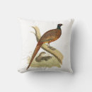 Recherche de volaille coussins Poulailler