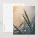 Recherche de lames cartes postales Floral