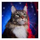 Suche nach aura poster Katze