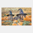 Suche nach lustiges halloween aufkleber Süß