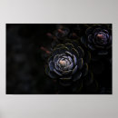 Suche nach schöne natur poster Botanisch