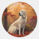 Suche nach hirte aufkleber Haustier