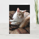 Recherche de ragondin vœux cartes Chat