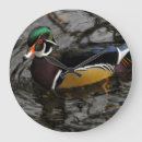 Suche nach maler wanduhren Bird