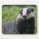 Recherche de mustelids tapis souris Blaireau