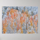 Suche nach aspekt poster Fall