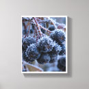 Suche nach frost leinwandbilder Schnee