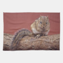 Suche nach chipmunks geschirr tücher Haustier