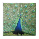 Suche nach peacock fliesen Vogel