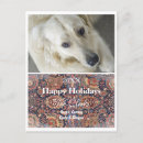 Recherche de gypse cartes postales Vacances