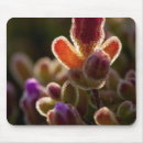 Suche nach knospe mousepads Botanik