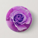 Suche nach lila rose buttons Mit blumen