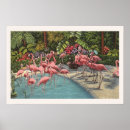 Recherche de anniversaire rose de flamant art Flamants