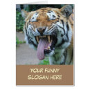 Recherche de visage tigre cartes postales Animaux