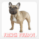 Recherche de chien brun autocollants Chiot