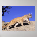 Suche nach stalker poster Landschaft