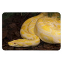 Recherche de la birmanie magnets Reptile