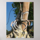 Suche nach schalentiere poster Lustig