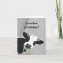 Suche nach kuh geburtstag karten Holstein