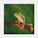 Suche nach rote augen magnete Roter mit augen baumfrosch