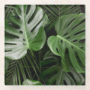 Recherche de feuille tropicale dessous de verres Arbre