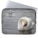 Recherche de cygne muet Oiseaux aquatiques
