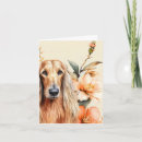 Suche nach kleiner windhund kleine grußkarten Hunde