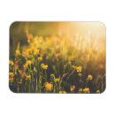 Recherche de bouquet magnets Ressort