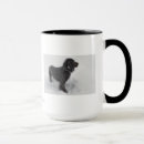 Recherche de cocker tasses Animal