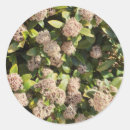 Suche nach blumenbilder aufkleber Naturfotografie