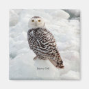 Recherche de neigeux magnets Animal