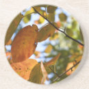Recherche de automne photographie Nature