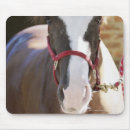 Suche nach backsteinmauer mousepads Haustiere