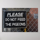 Suche nach tauben poster Vogelvogel