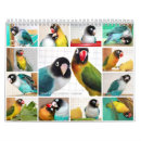 Suche nach lustige tiere kalender Glücklich