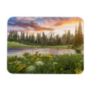 Suche nach regnerisch magnete Wald