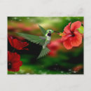 Recherche de de colibri cartes postales Nectar
