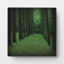 Suche nach wälder fotoplatten Wald