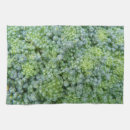 Suche nach brokkoli geschirr tücher Veggies