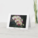 Suche nach orchideen geburtstag karten Phalaenopsis