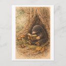 Recherche de taupe cartes postales Vintage